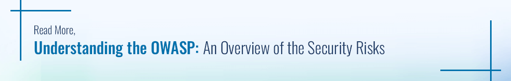 Understanding the OWASP An Overview of the Security Risks.png